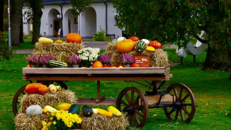 Miķeļdiena 29. septembrī: baznīcas svētki un rudens tradīcijas