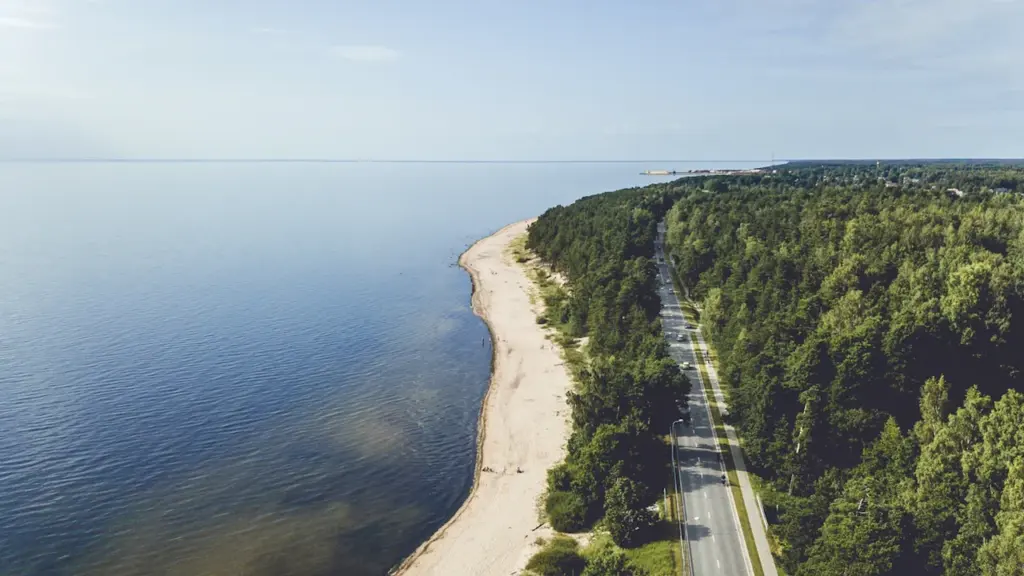 Skats no augšas uz gleznainu ceļu gar jūras krastu Latvijā.