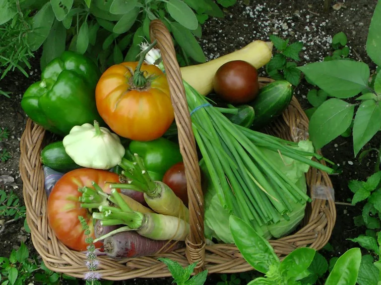 Pilns ražas grozs sapnī: darbs, nogurums un pietiekamība